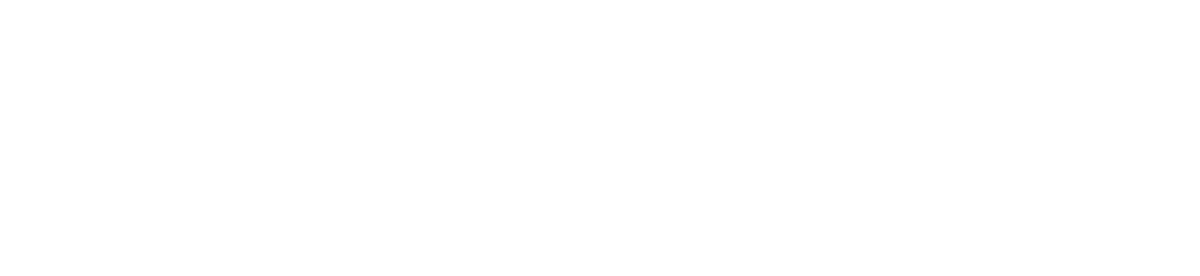 The Verge